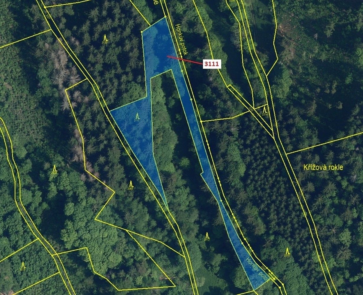 Prodej les - Bystrá nad Jizerou, okres Semily, Liberecký kraj - 2