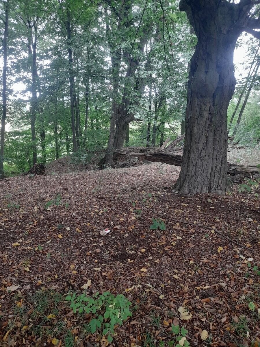 Pozemky pro bydlení, Kostelec nad Orlicí, 517 41 - 2