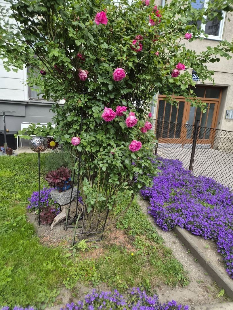 Byt 3+1 · 46 m² · Stuwerviertel Wien 2. Bezirk Wien 1020 - 4