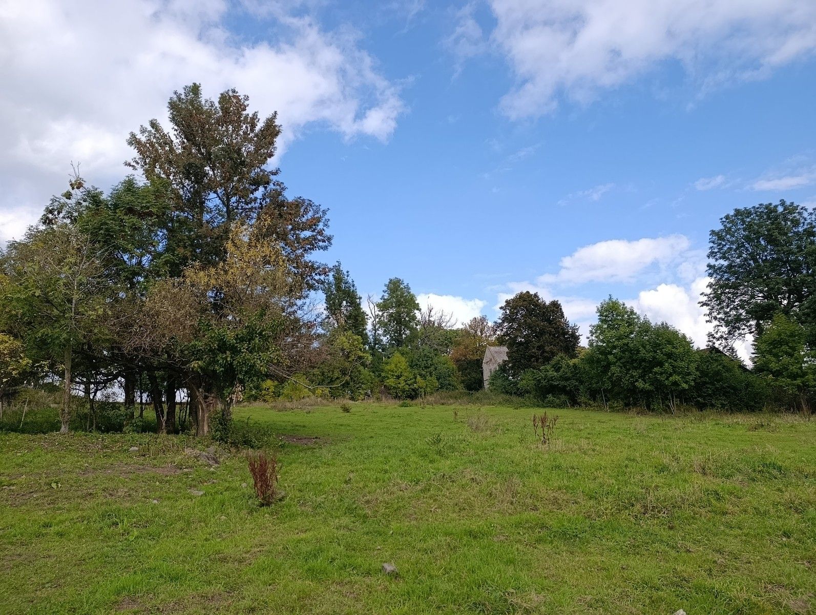 Prodej pozemek pro bydlení - Lovečkovice, 3 539 m² - 5