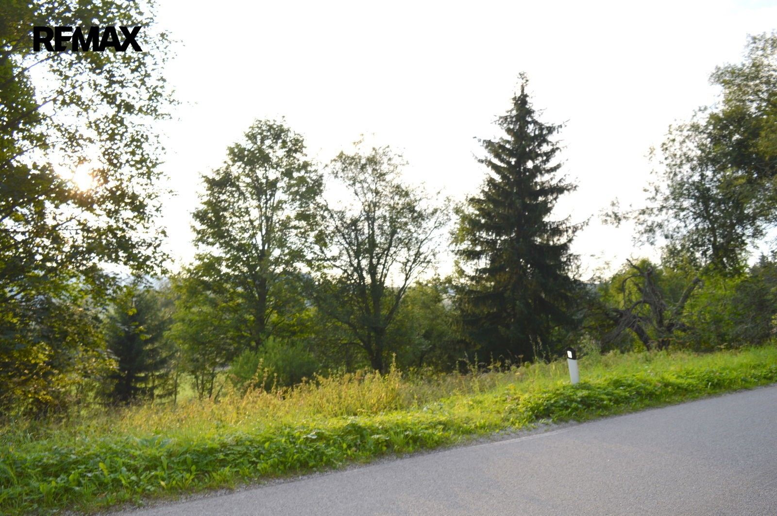 Pozemek · 8 040 m² · Borová Lada - 4