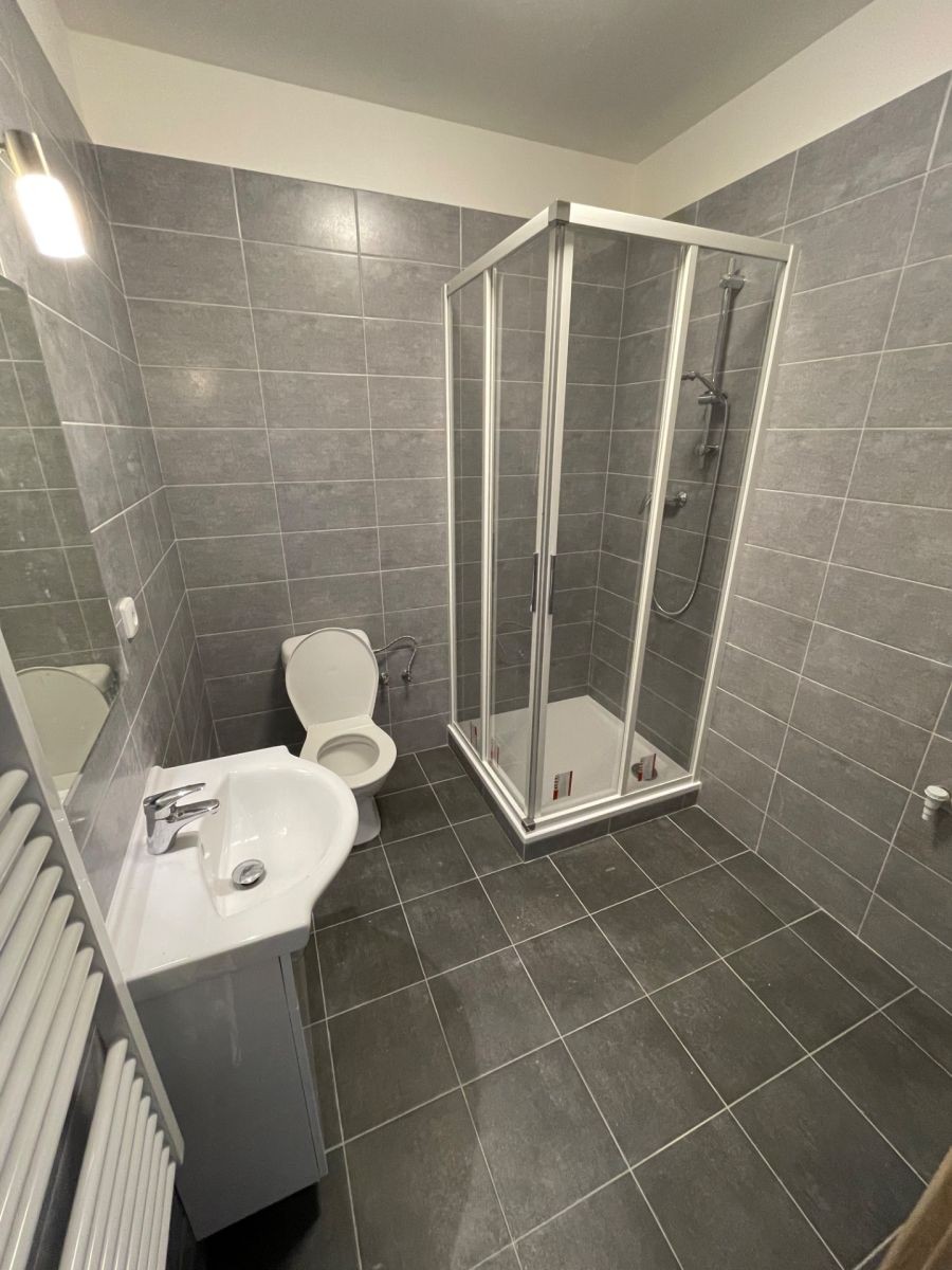 Byt 1+kk · 30 m² · Ptice - Ptice, Středočeský kraj - 3