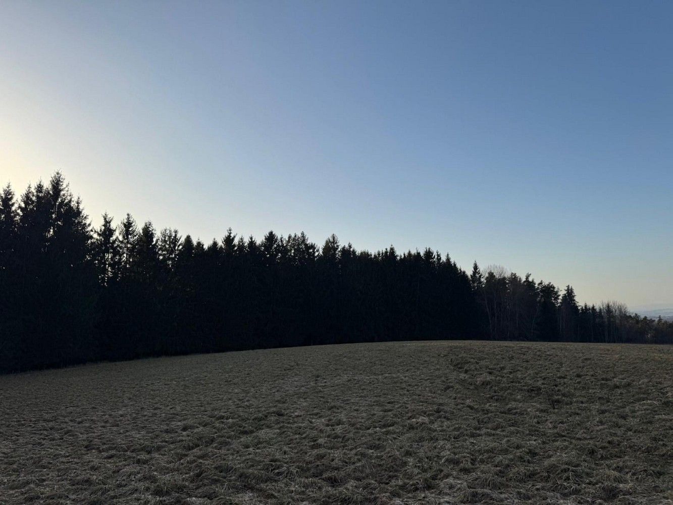 Les · Stará Paka - Císařský, okres Jičín, Královéhradecký kraj - 3