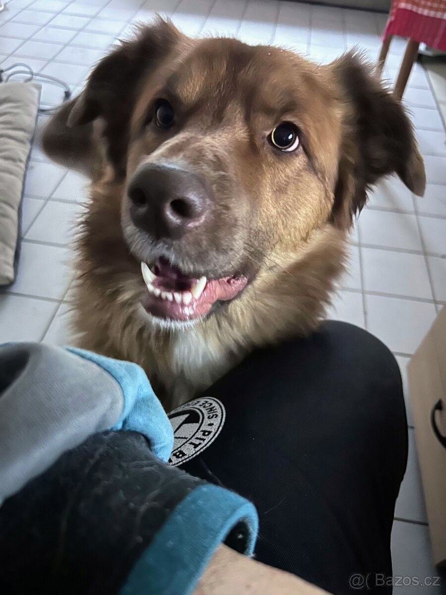 Ostatní, Český Krumlov, 381 01