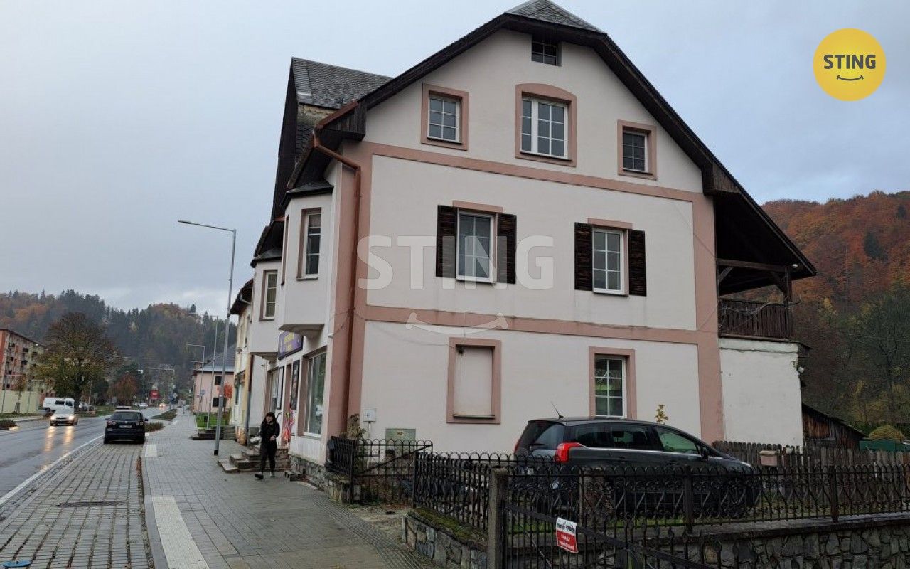 Prodej vila - Hlavní, Hanušovice, 222 m²