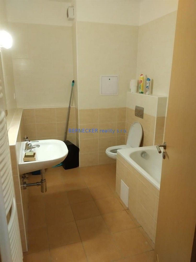 Pronájem byt 1+kk - Hradec Králové - Nový Hradec Králové, Královéhradecký kraj, 30 m² - 5