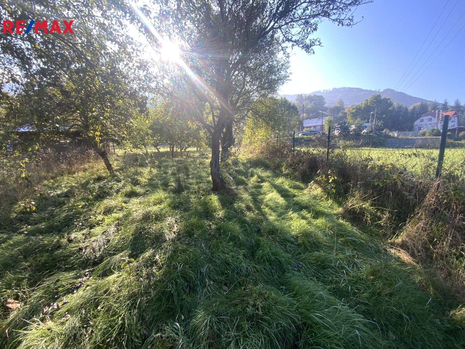 Prodej zahrada - Stráž nad Ohří, 702 m²