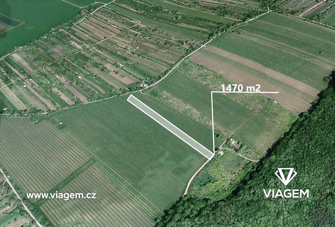 Prodej zemědělský pozemek - Strážnice, okres Hodonín, Jihomoravský kraj - 1