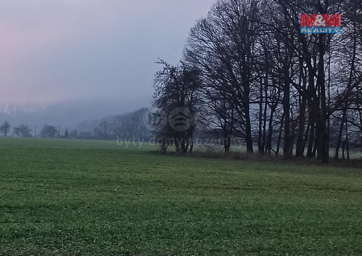 Zemědělský pozemek · Mnichovo Hradiště - Podolí, okres Mladá Boleslav, Středočeský kraj - 4