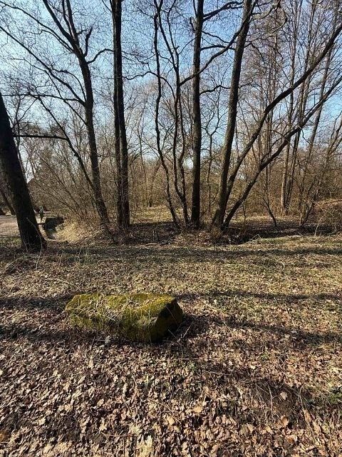 Prodej pozemek - Kamenice Těptín - 5