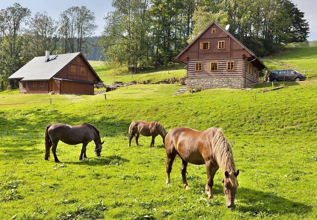 Chaty, Horní Maršov - Horní Lysečiny, Královéhradecký kraj