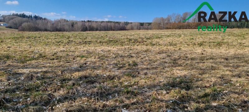 Prodej zemědělský pozemek - Halže