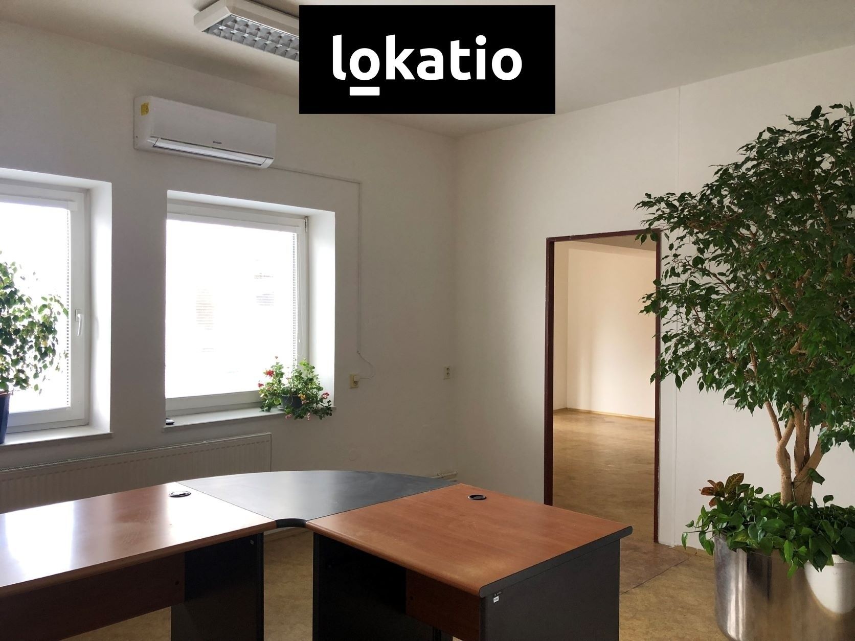 Pronájem kancelář - Brno-jih, Brno, 297 m² - 5