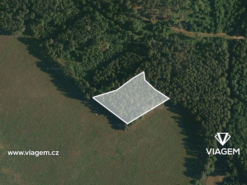 Lesy, Čestice, okres Strakonice, Jihočeský kraj - 2