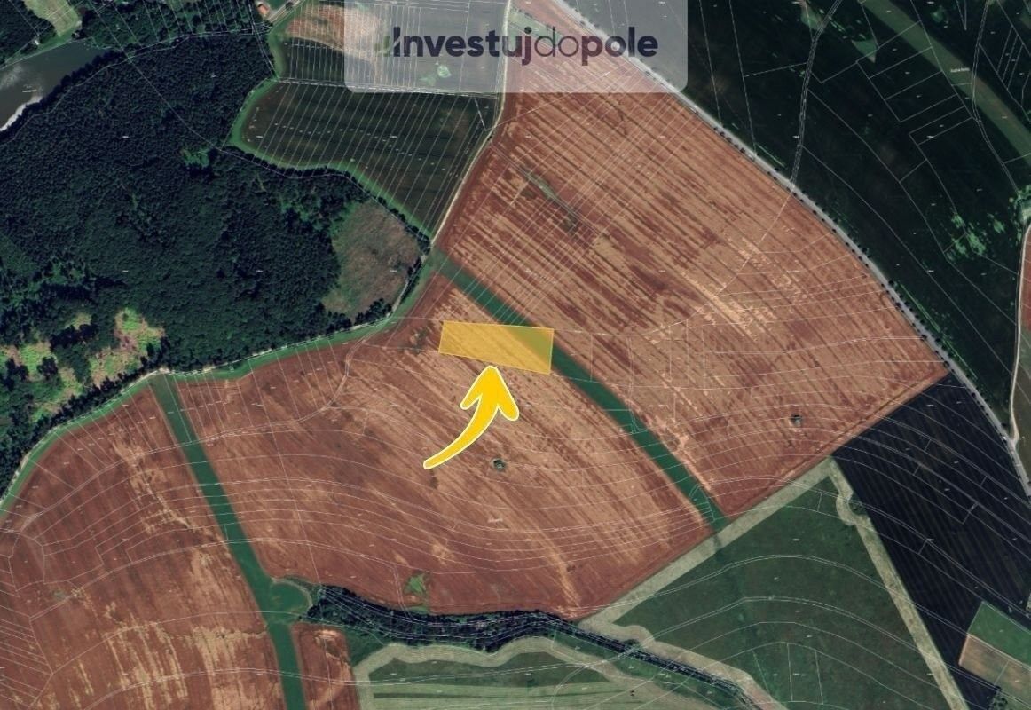 Prodej zemědělský pozemek - Ruprechtov, 2 286 m²