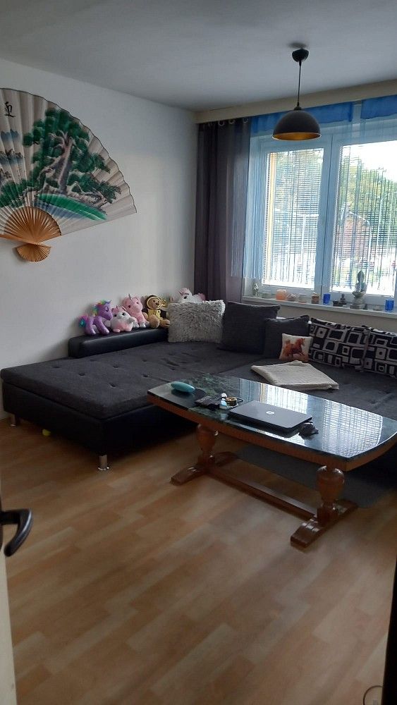 Prodej byt 2+1 - Mlýnská, Strakonice - Strakonice I, 63,4 m² - 5