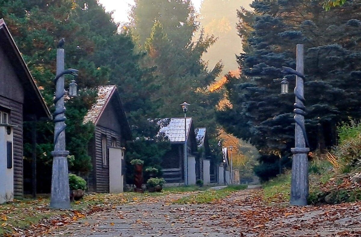 Pronájem restaurace - Bezvěrov, 330 41