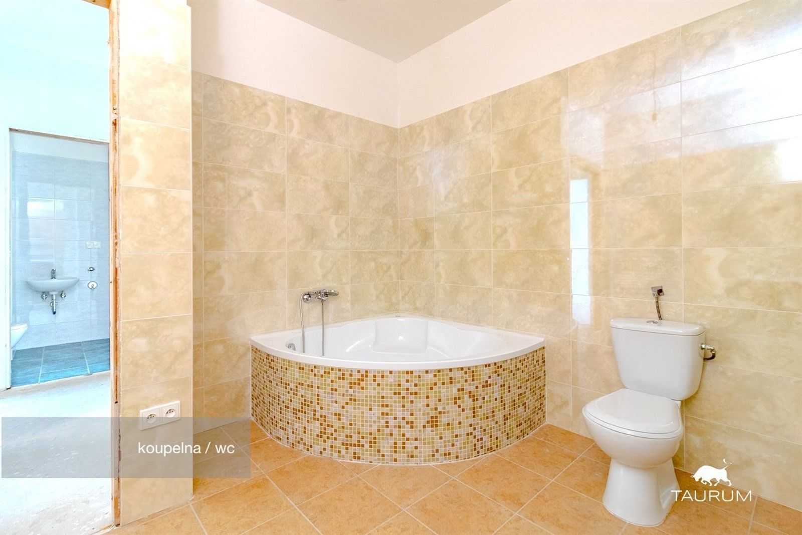 Prodej byt 2+1 - Rozvojová zóna, Janovice nad Úhlavou, 74 m²