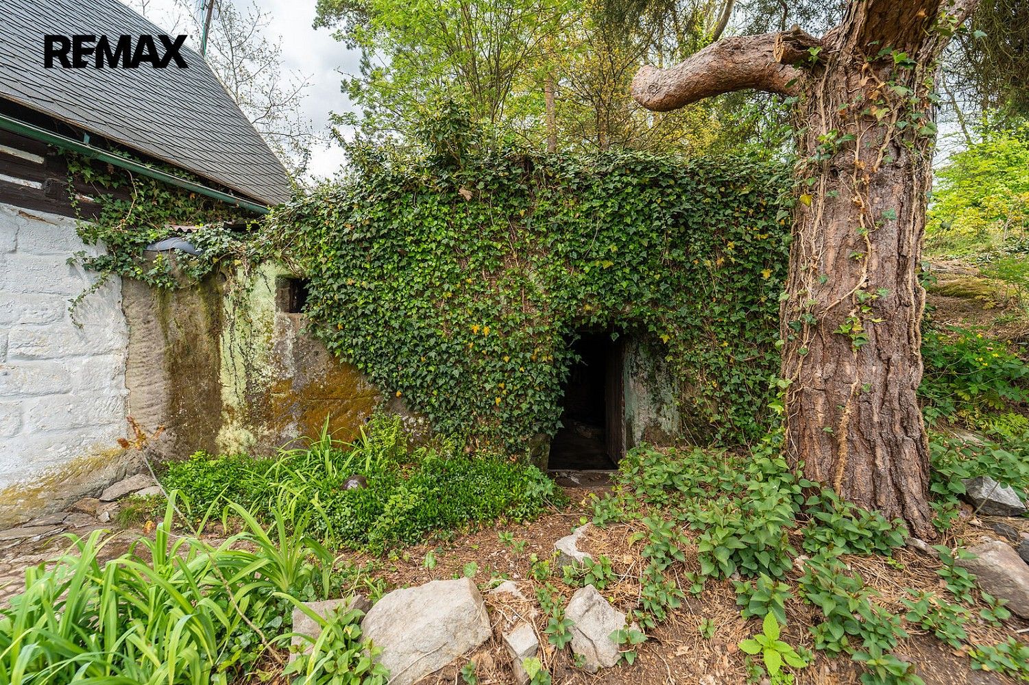 Prodej chalupa - Radvanec, okres Česká Lípa, Liberecký kraj, 127 m² - 5