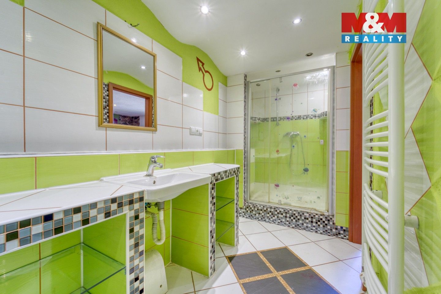 Rodinný dům · 340 m² · Stará Ovčárna, Sokolov - 3