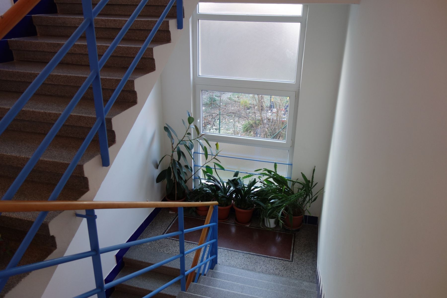 1+kk, Na Jezerce, Praha - Nusle, 33 m² - 2