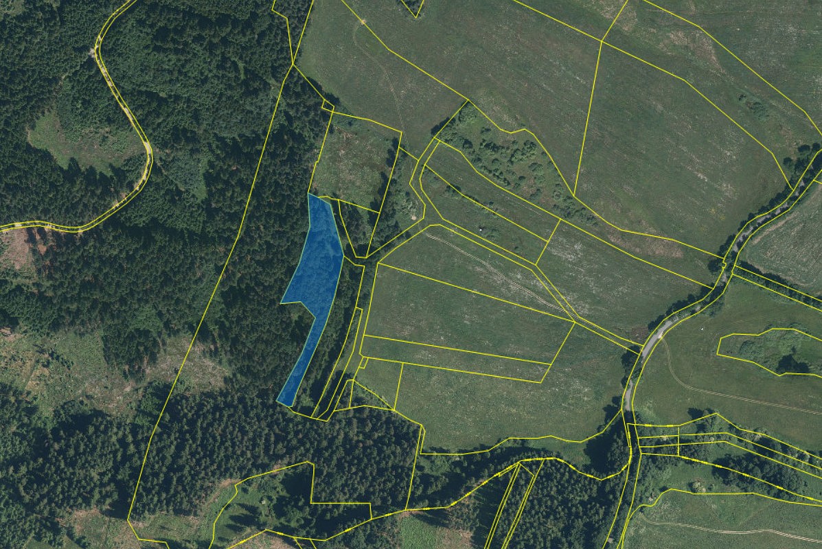 Prodej les - Dlouhý Újezd - 2