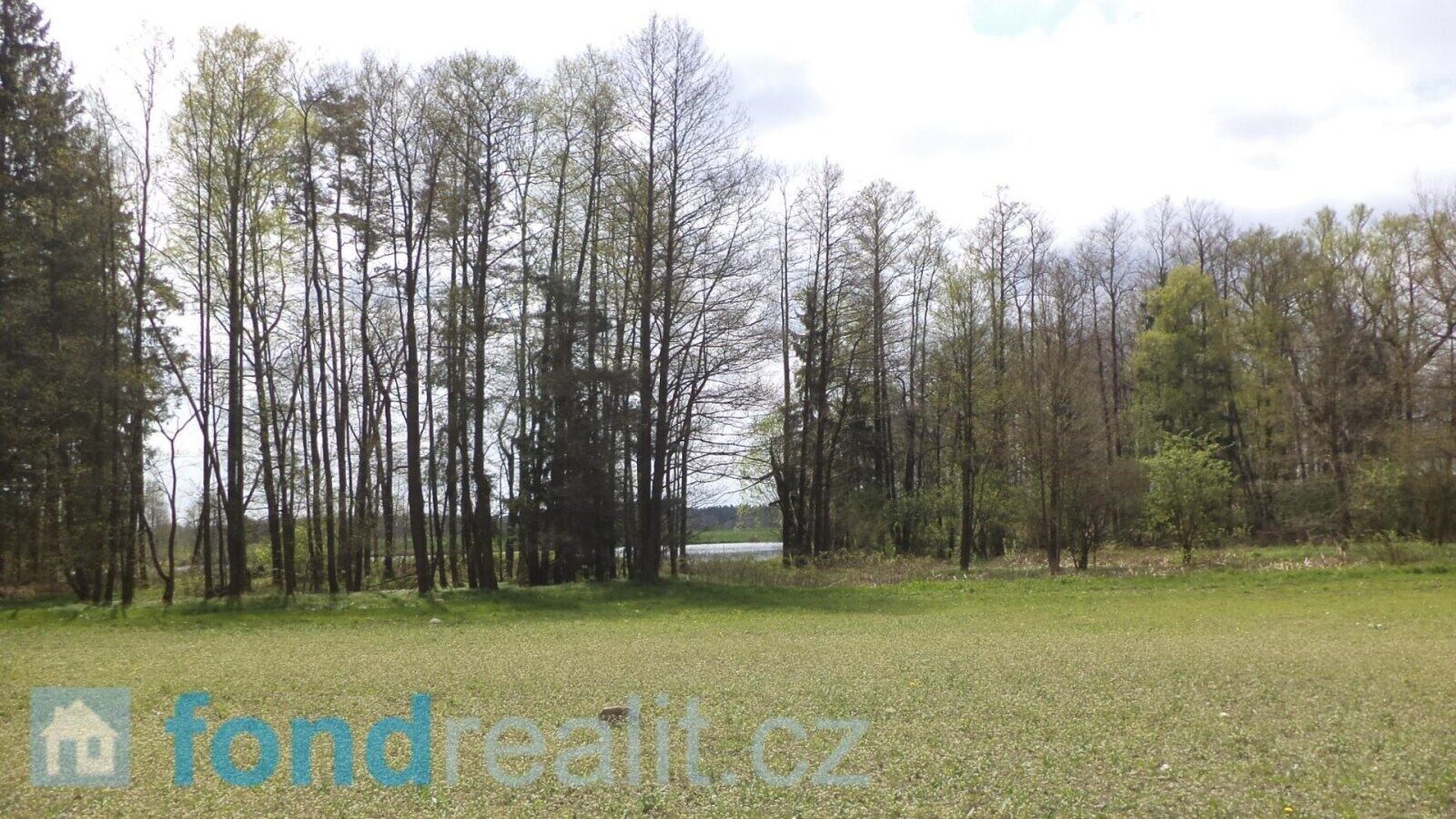 Ostatní, Stráž nad Nežárkou, 6 528 m² - 2