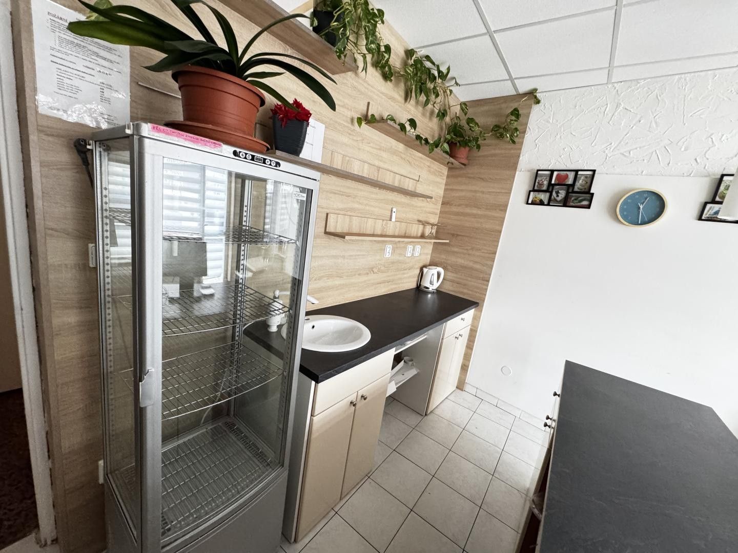 Ostatní, Veselí nad Moravou, 300 m² - 2