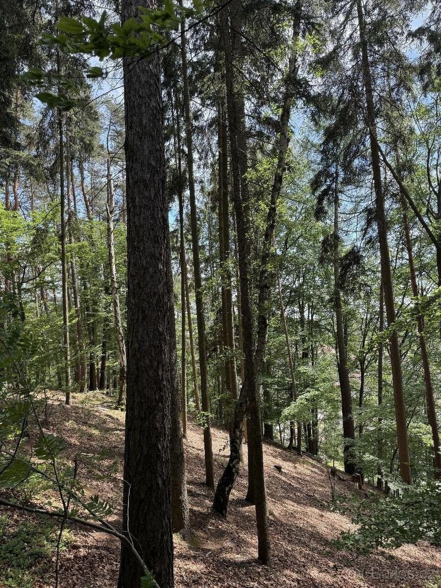 Pozemky pro bydlení, Úpice, 542 32