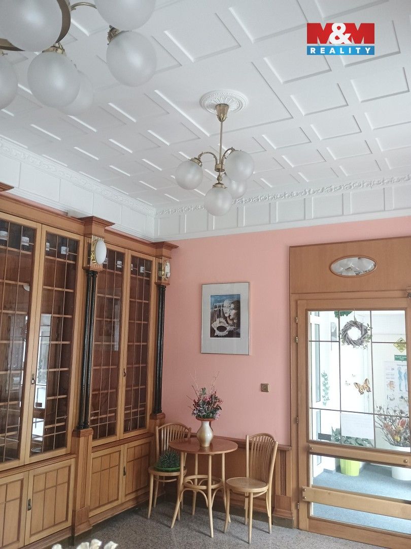Obchodní prostory, Teplická, Děčín, 270 m² - 2