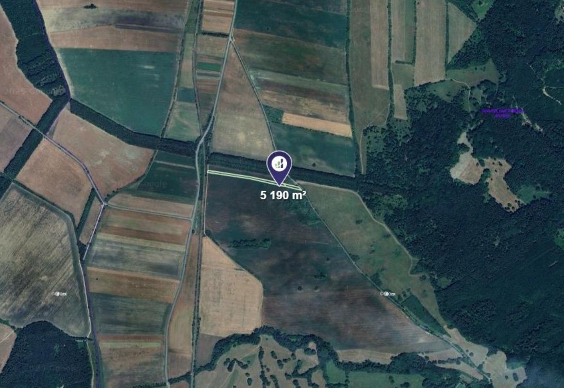 Zemědělské pozemky, Javorník, 5 190 m² - 2