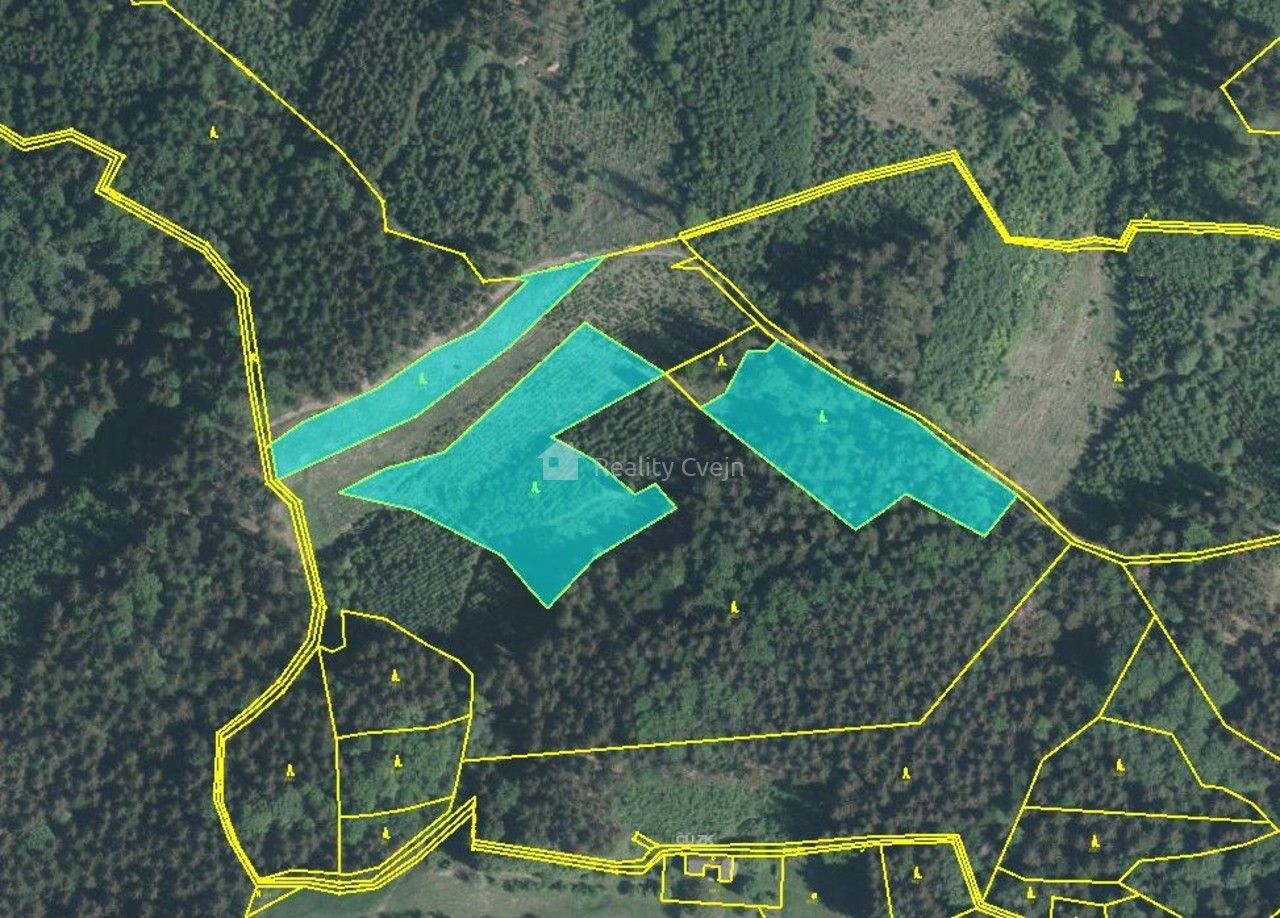 Prodej les - Prlov, 14 299 m²