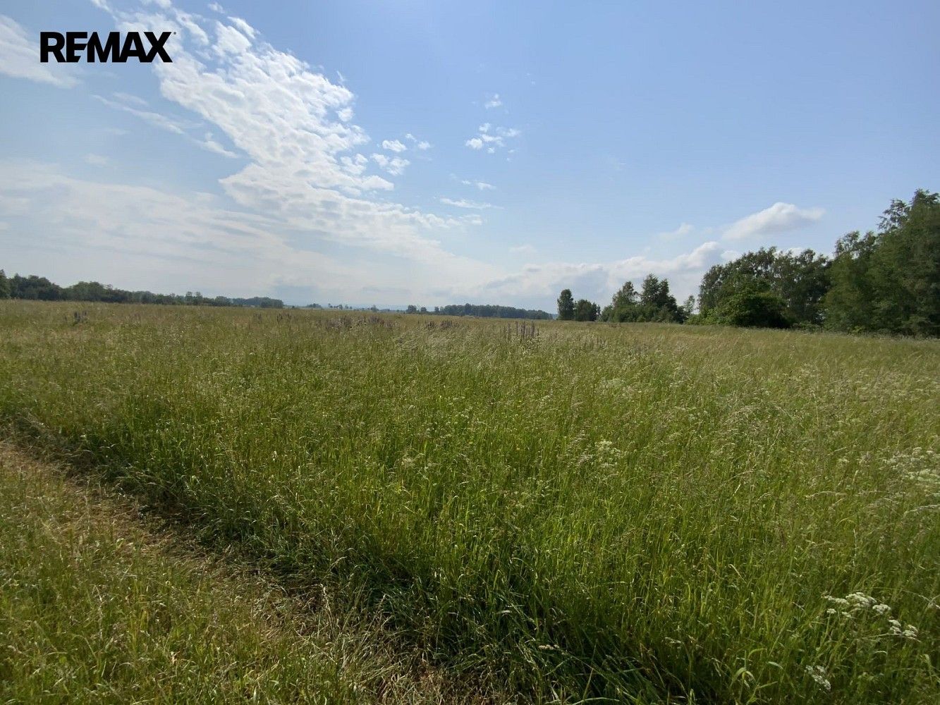 Louky, Skalná, okres Cheb, Karlovarský kraj - 2