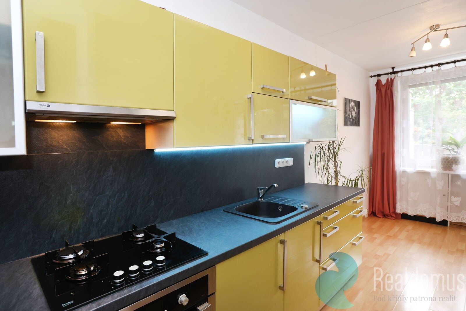 3+1, Roháčova 301, Praha Žižkov, 73 m² - 1