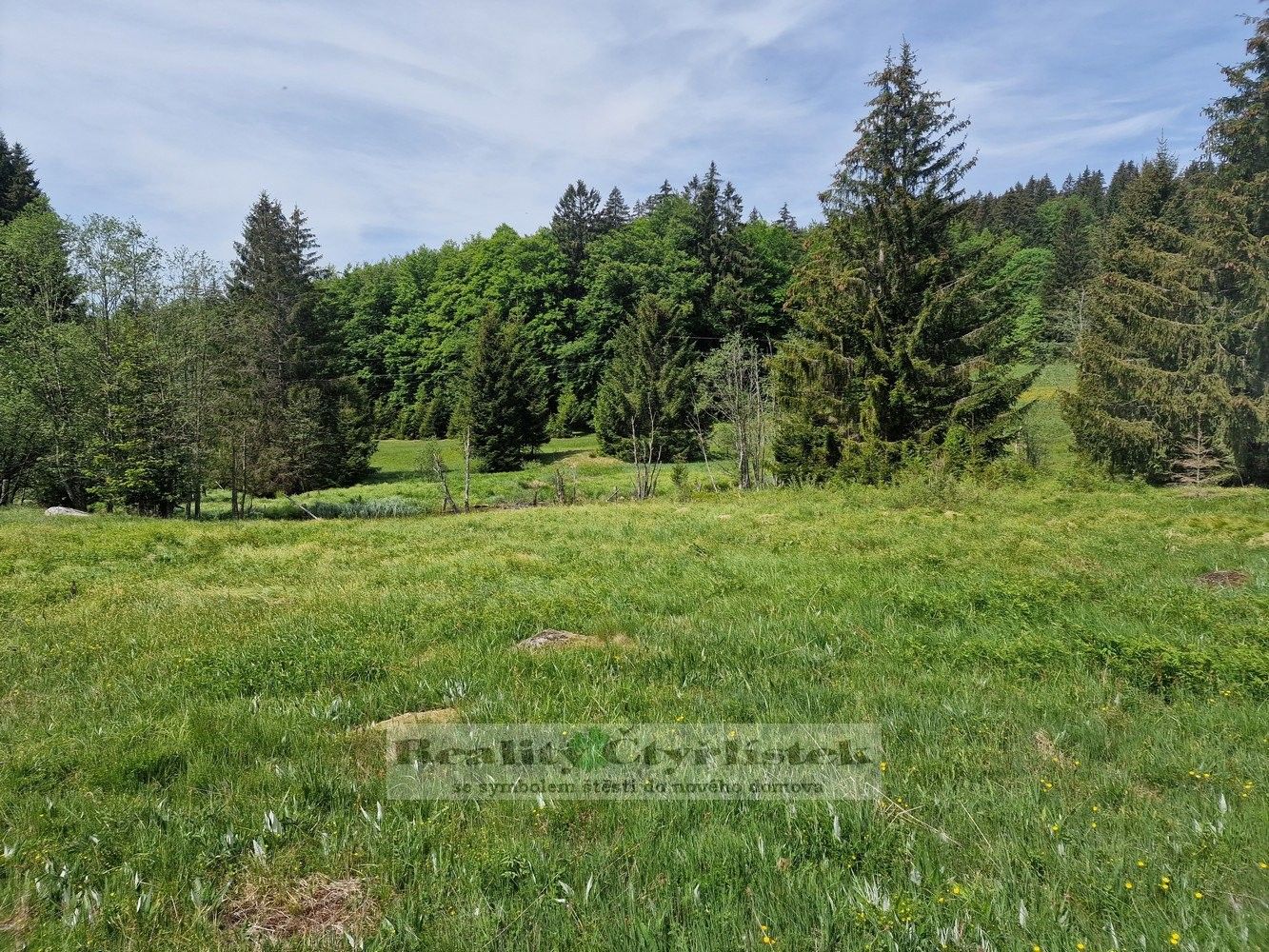 Komerční pozemek, Železná Ruda – pohled 5