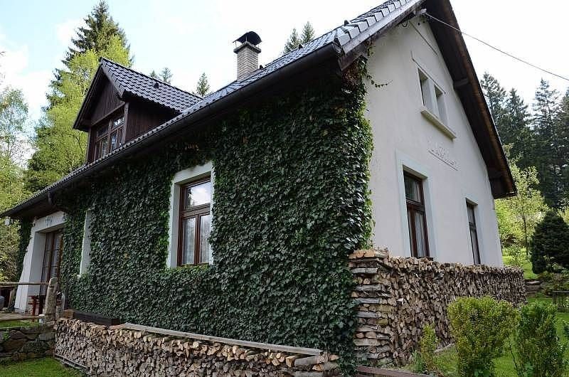 Chata · Zdíkov - Račov, Jihočeský kraj - 3
