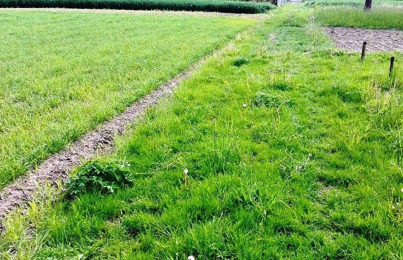 Sklady, Jižní, Mohelnice, okres Šumperk, 6 000 m² - 1