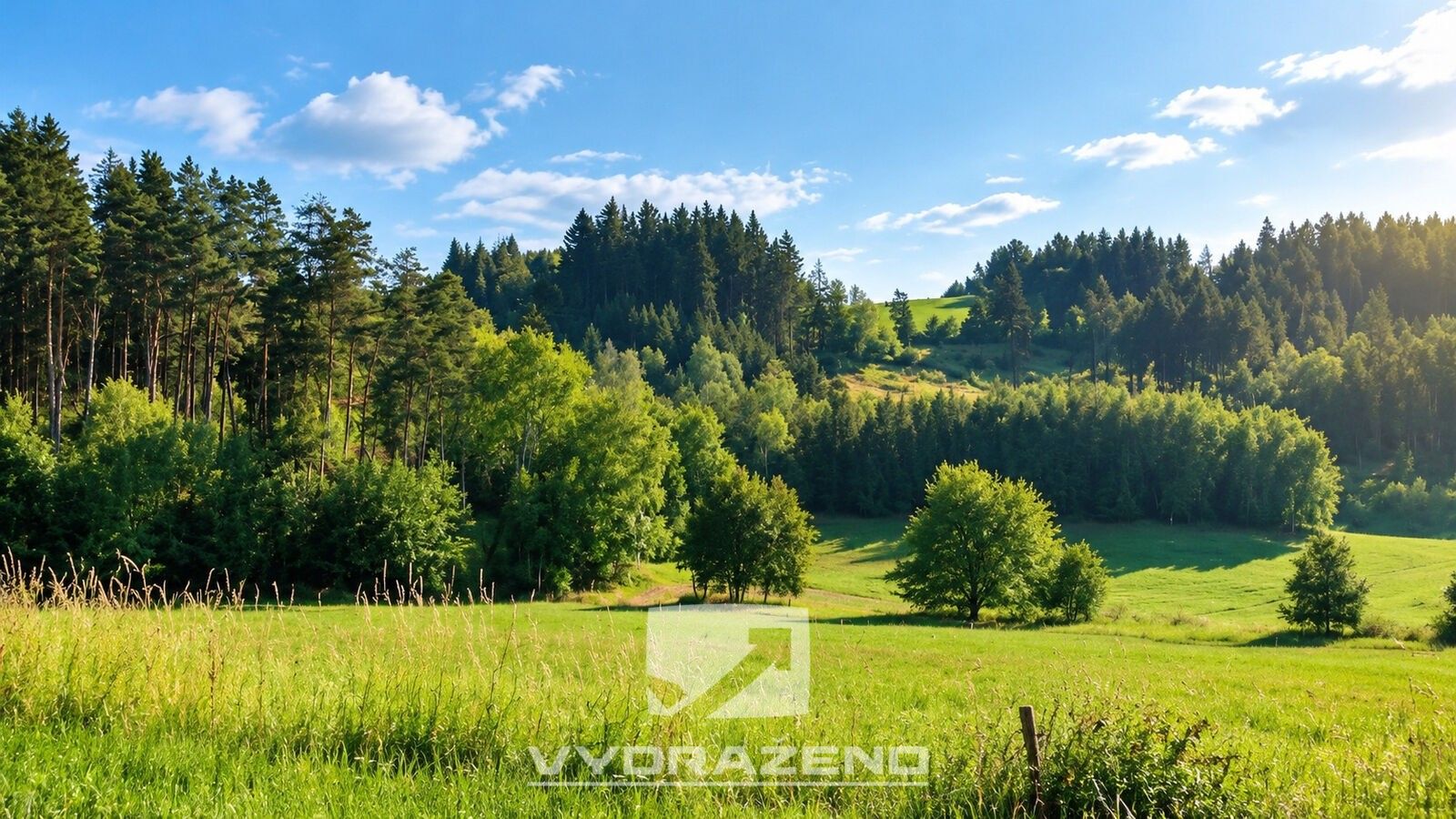 Zemědělský pozemek · 3 946 m² · Levínská Olešnice - 2