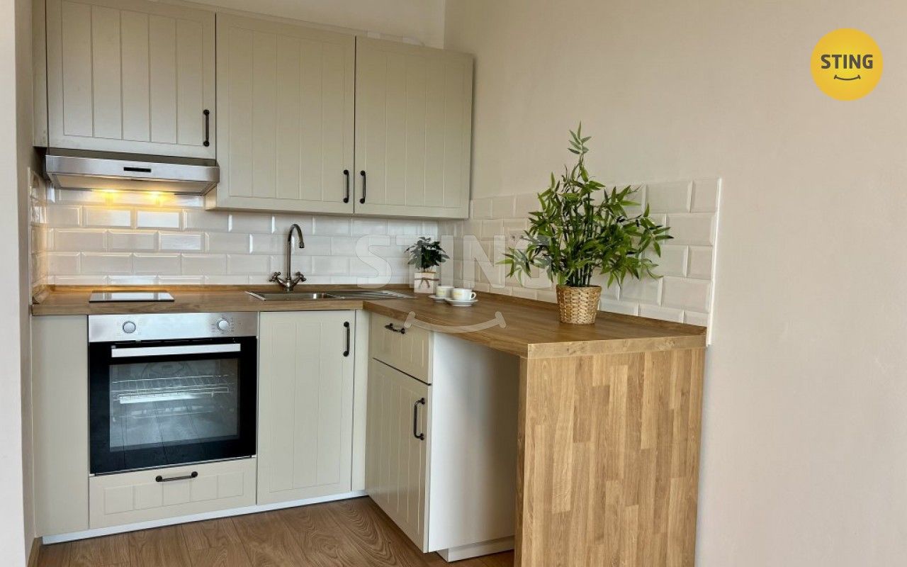 1+kk, Francouzská, Ostrava, 29 m²