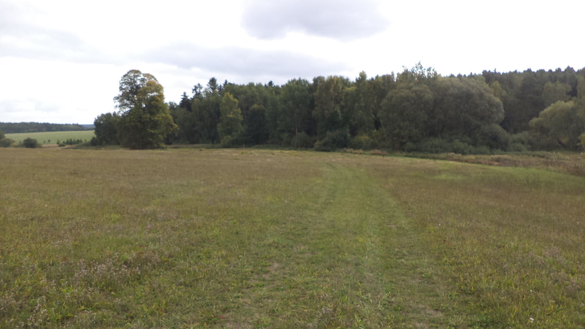 Prodej zemědělský pozemek - Tachov, 2 776 m² - 5