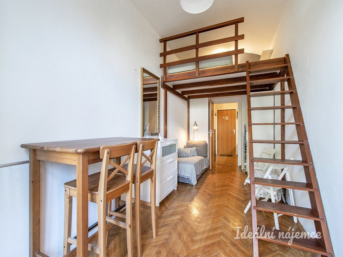 1+1, Seifertova, Praha, 18 m²