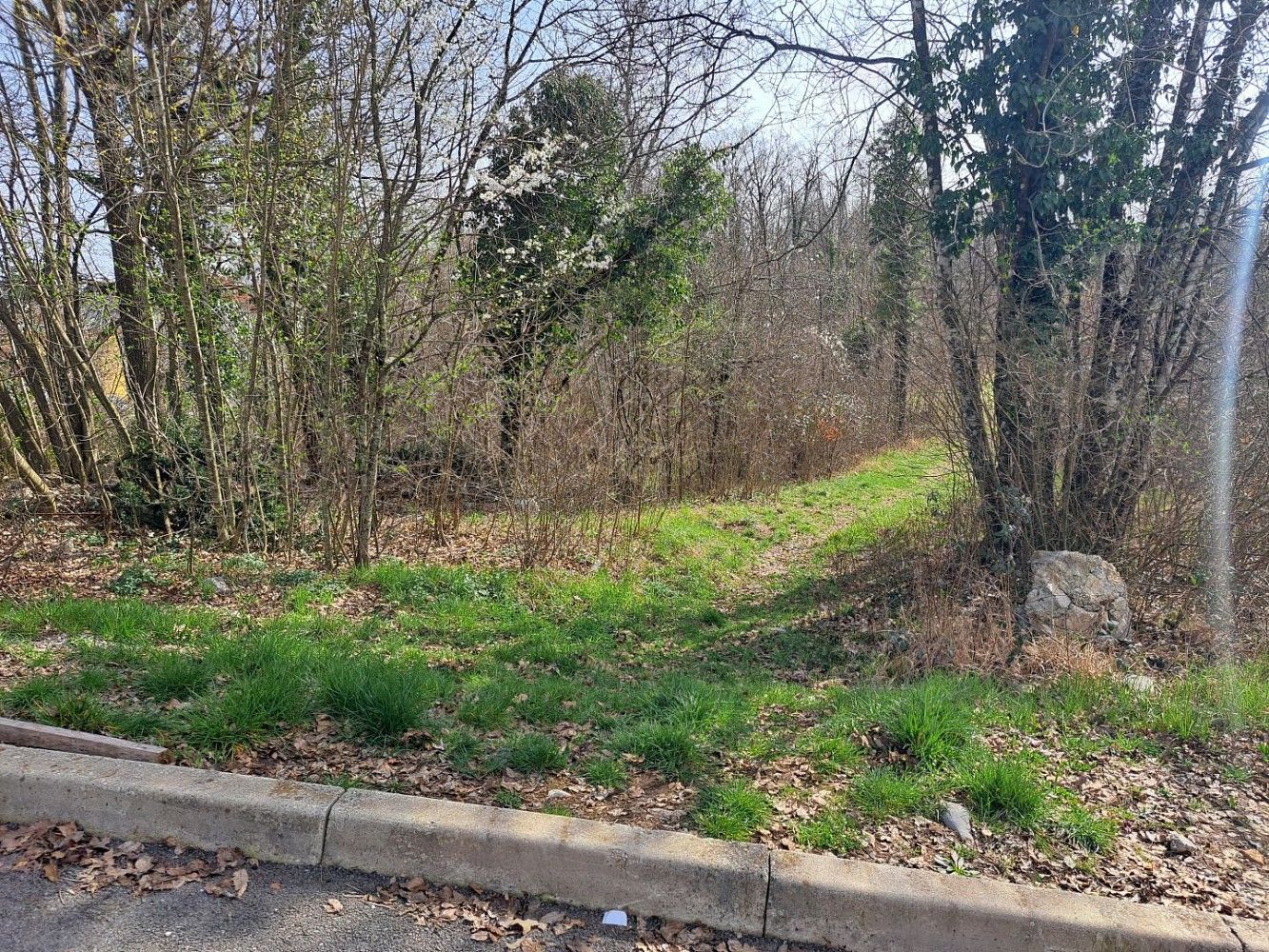 Pozemek pro bydlení, 3 100 m²