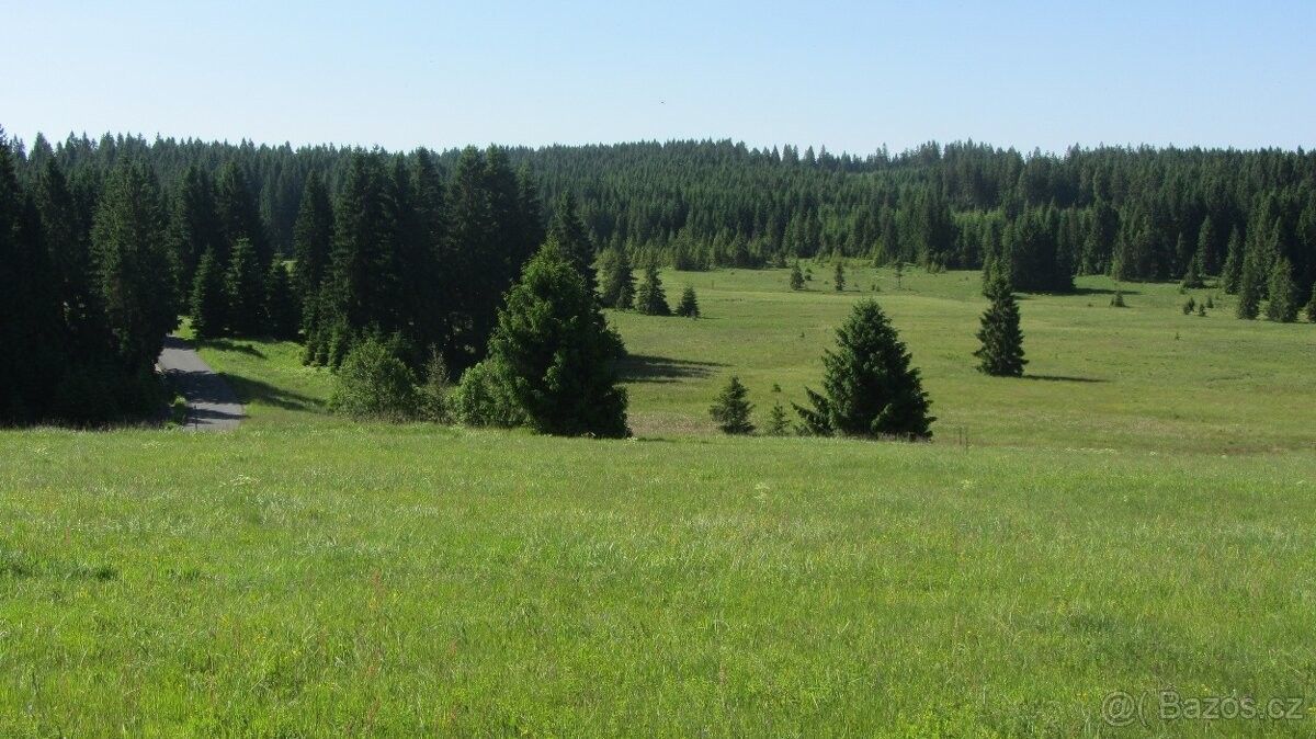 Prodej pozemek pro bydlení - Kraslice, 358 01