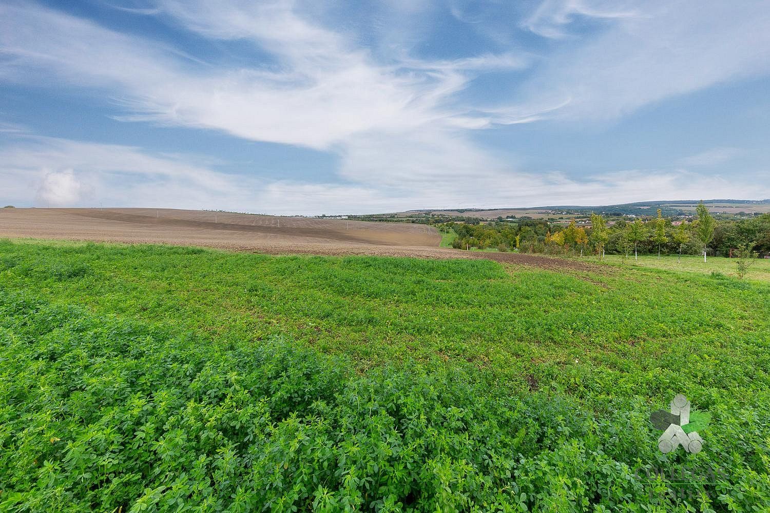 Zemědělský pozemek, 1 754 m²