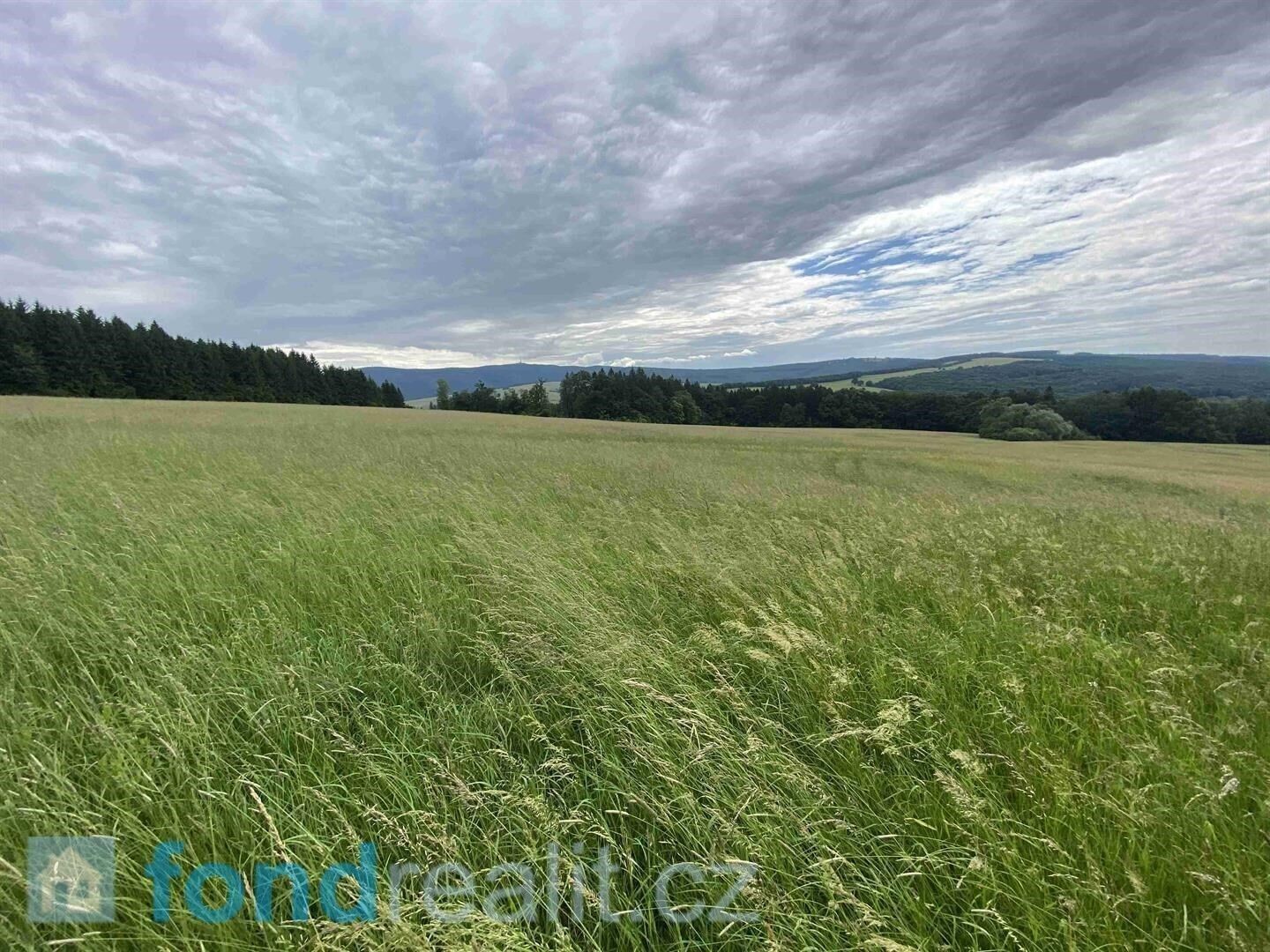 Zemědělský pozemek · 7 545 m² · Korytná - 3