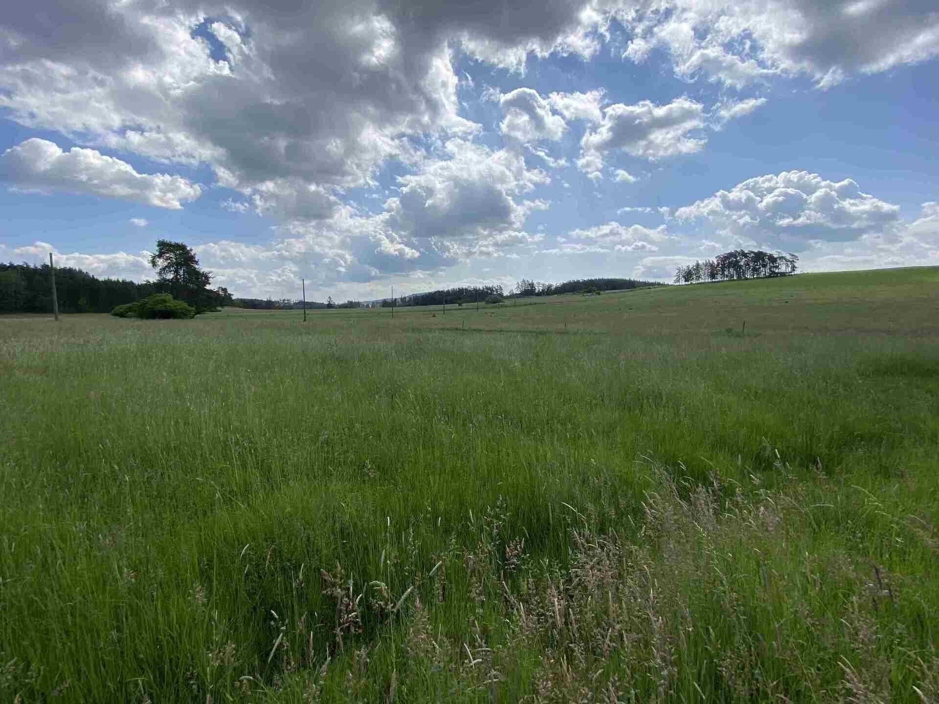 Pozemky pro bydlení, Planá Pavlovice, 1 400 m² - 2
