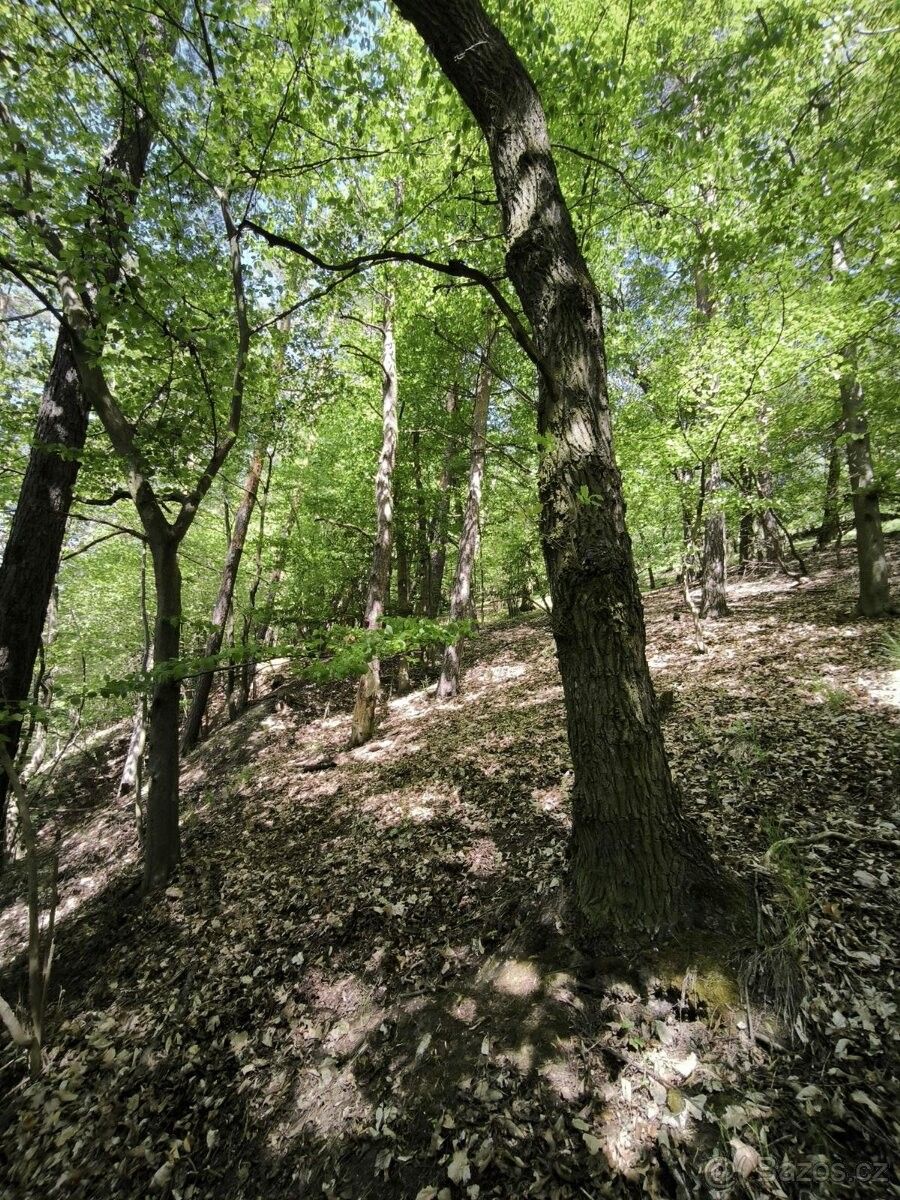 Pozemky pro bydlení, Zábřeh, 789 01 - 2