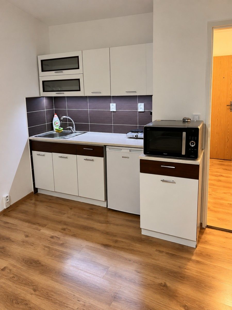 1+kk, U Parku, Ostrava - Moravská Ostrava, Moravskoslezský kraj, 26 m² - 1