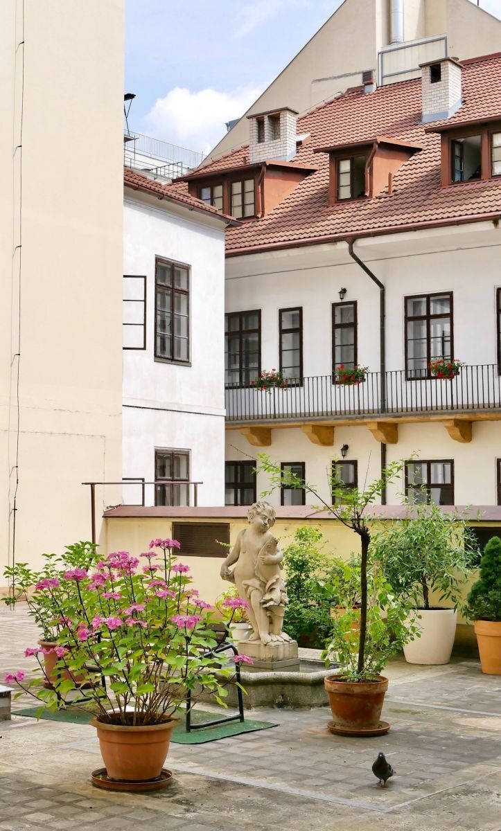 Byty, Konviktská, Praha - Staré Město, 35 m² - 2