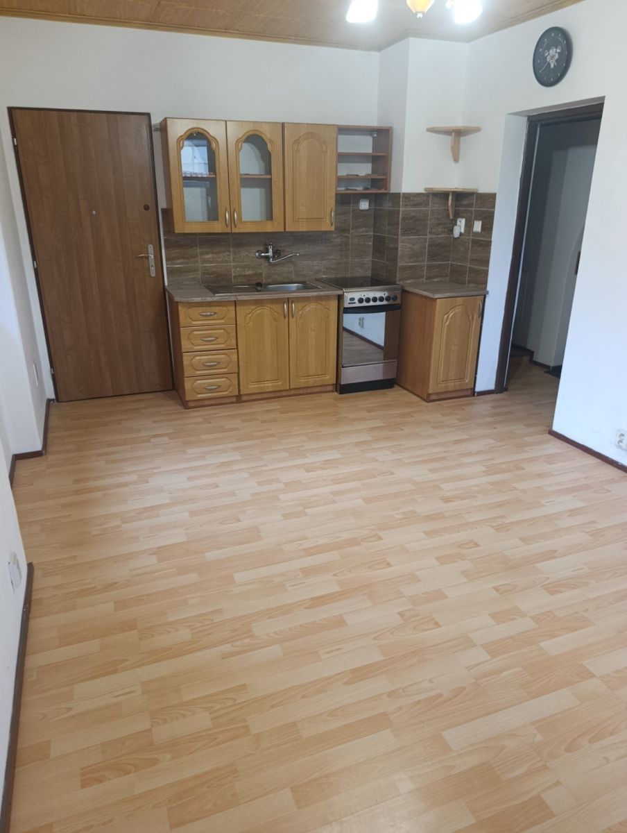 Pronájem byt 1+1 - Smetanova, Březno - Březno u Chomutova, Ústecký kraj, 33 m² - 5